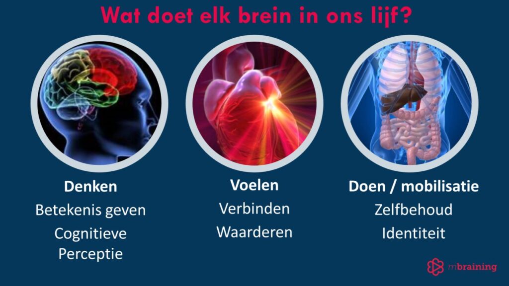 Deze afbeelding heeft een leeg alt-attribuut; de bestandsnaam is 1727079158310-1024x576.jpeg